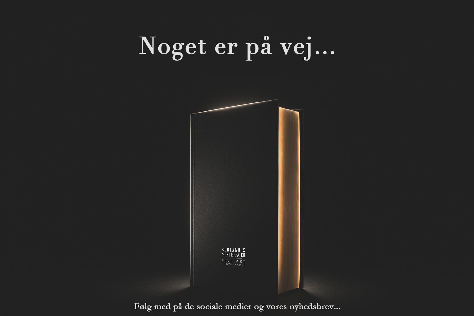 Teaser for kunstbog med fotokunst af Surland & Vesterager